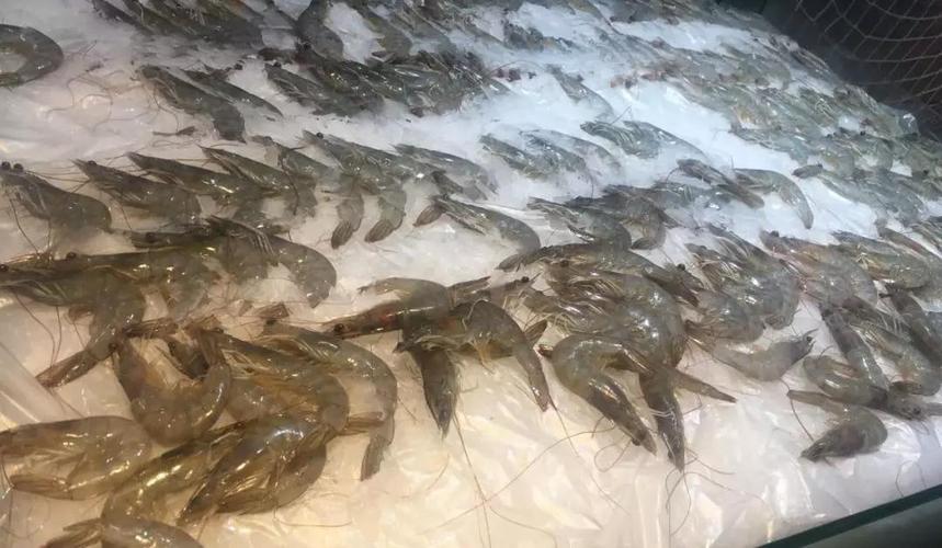 保鲜冷库,水产品保鲜冷库,冷冻冷库安装,节能低温冷库工程建造水产