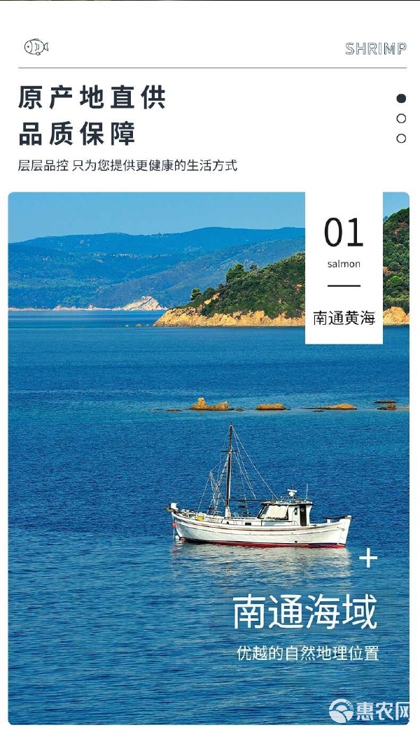 盐田大虾烤虾干即食特大高蛋干虾原产地对虾虾干淡干休闲零食