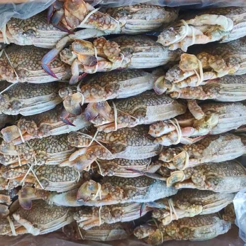 冷冻梭子蟹切块 从海洋到餐桌的便捷海鲜之选